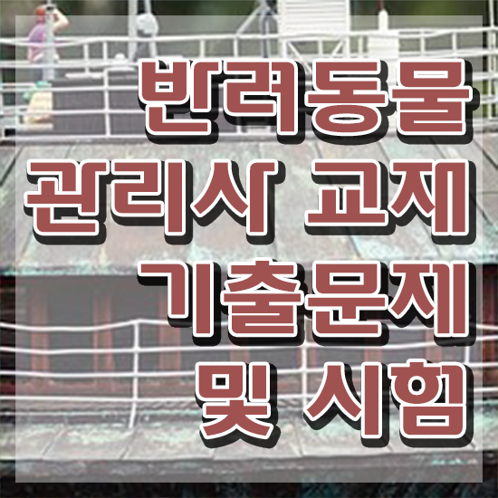  반려동물관리사취업 , 반려동물관리사 자격증 응시자격 없이 합격한 전략 및 취업