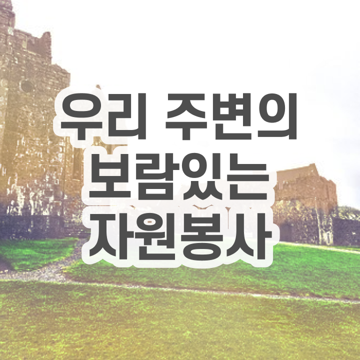  , 자원봉사지도사 자격증 1달 만에 취득한 노하우 및 온라인 무료강의
