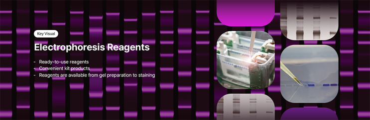  전기영동 시약 Electrophoresis Reagents