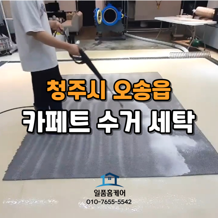  오송 오창 카페트 청소 수거 세탁으로 전문업체에서 깔끔하게 관리하세요