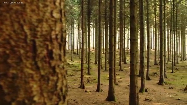  웨딩 스튜디오 가격비교 완벽한 순간을 남기는 법 , 웨딩박람회에서 결혼준비 신속하게