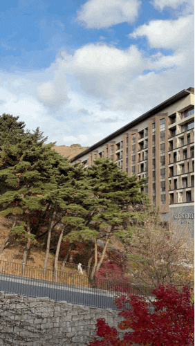  충북 제천 리솜 포레스트 호텔 s30 독채 예약 객실 숙소 추천