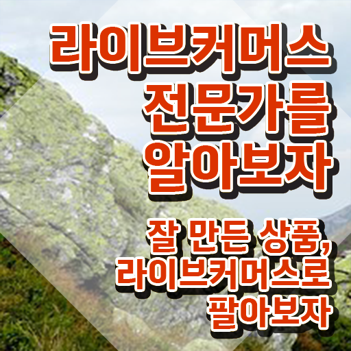  라이브커머스 뜻 , 라이브커머스전문가 자격증 1달 만에 합격정보 , 취업정보