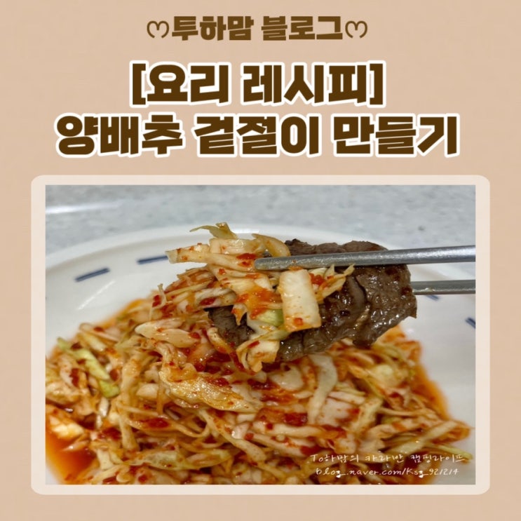  [요리 레시피] 양배추 겉절이 만들기