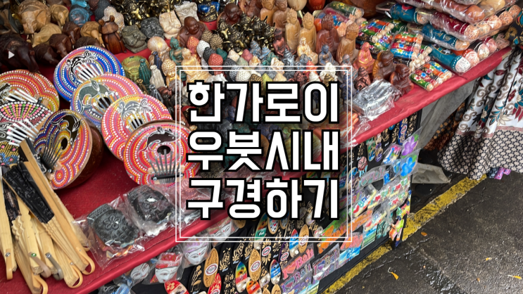  [발리여행]  구도심의  아기자기함이 넘치는 우붓시내 구경 그리고 짐챙겨서 서울로 Go Go ~~