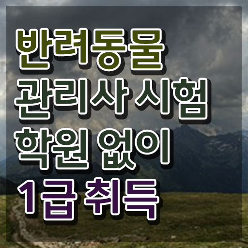  반려동물관리사 1급 , 반려동물관리사 자격증 취득한 과정 확인해봅시다