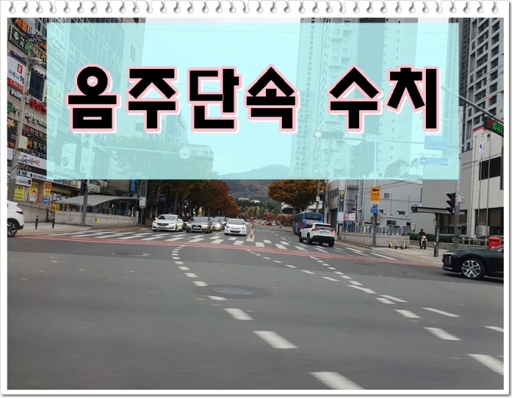  음주단속 수치와 면허구제에 대해