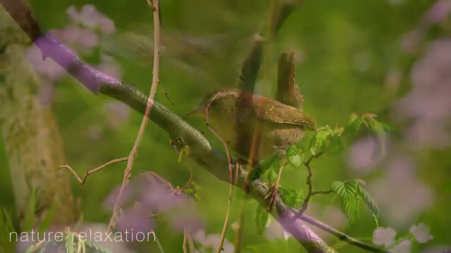  광진구 광장동,군자동,능동 정수기렌탈 고급형 사용 후기 스마트 해요.