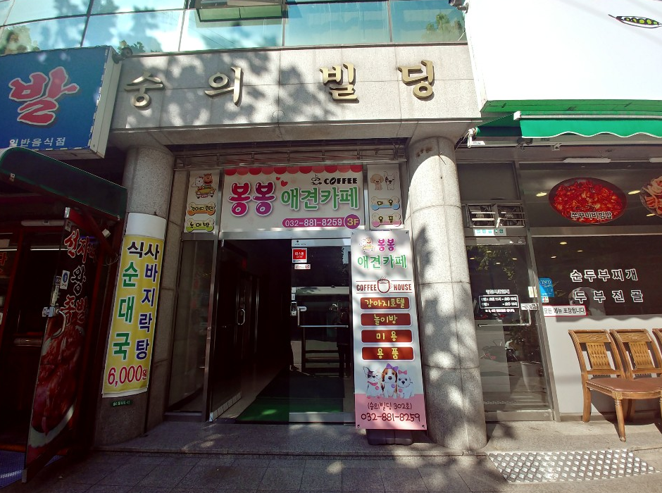 봉봉애견카페 사진 2
