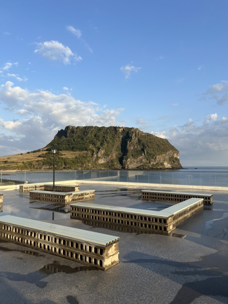  제주 성산일출봉 카페 : 프릳츠 제주성산점