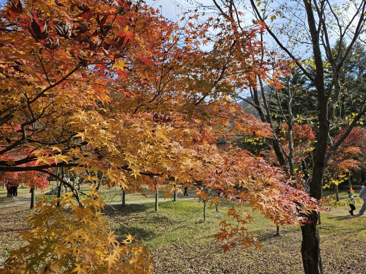  막연한 낙관주의자 냉철한 현실주의자
