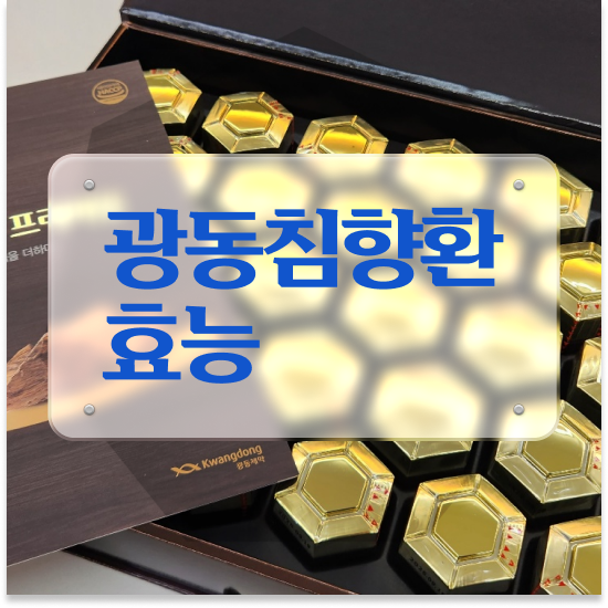  침향단 추천 명품 보관법