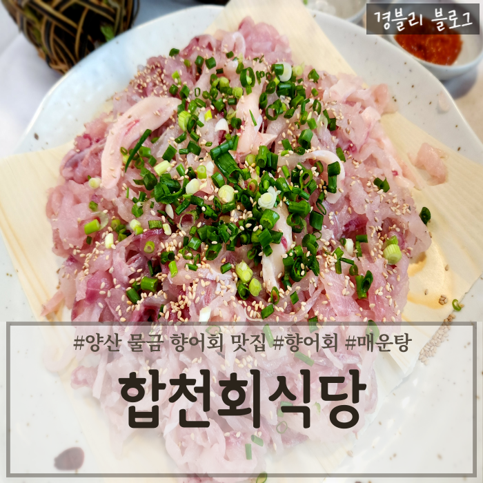  양산 물금 향어회맛집 양산현지인맛집 양산증산향어 '합천회식당'