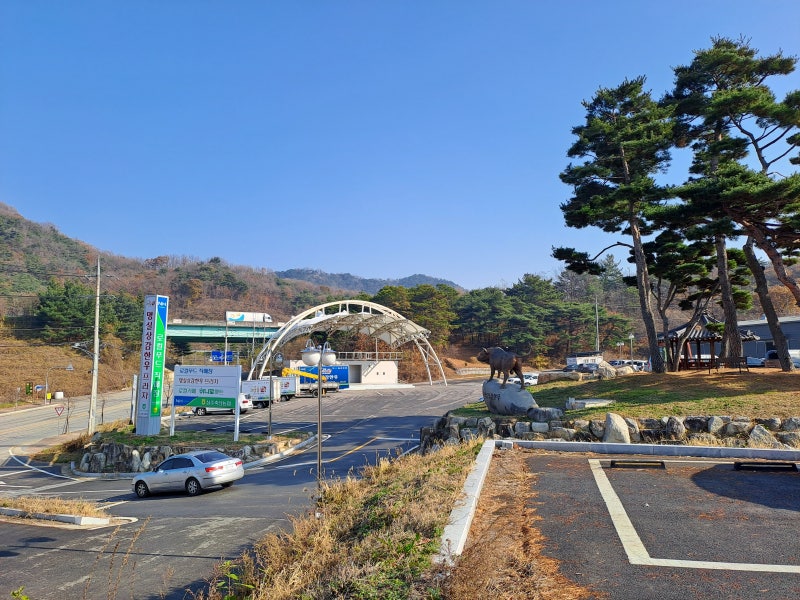 사진 3
