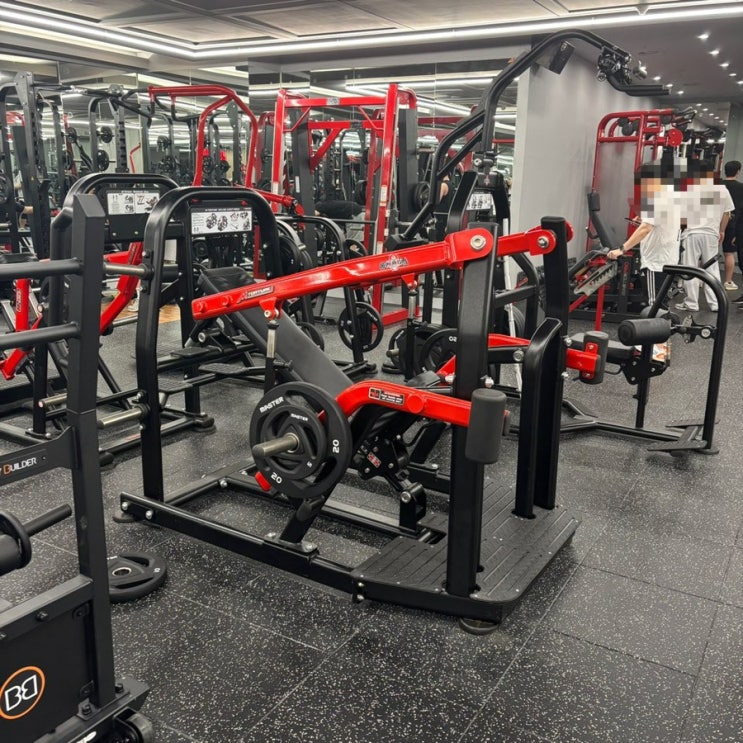  사당역 헬스장 피트니스메이트 PT 기구 후기
