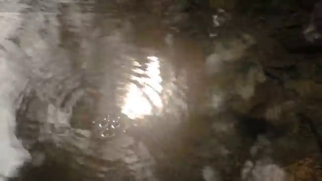  웨딩플래너 선택의 모든 것 , 웨딩박람회에서 결혼준비 알뜰하게 체크하는 법