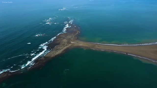  연애운 사주 , 쉽고 간편하게 명리심리상담사자격증 취득 정보