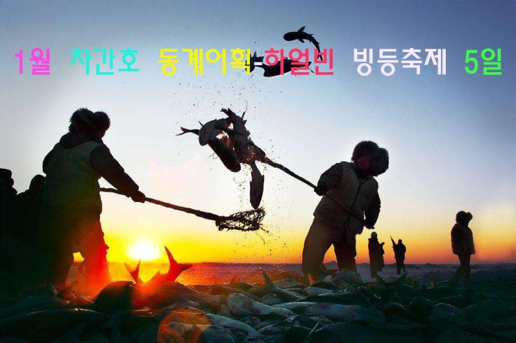  2025년 1월 옛 북방민족(거란, 여진)의 차간호 얼음낚시(동계어획)-하얼빈여행 빙등축제 5일