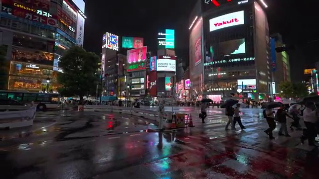  4인가족 해외여행 계획중이라면 ? 여행 전문가 가 패키지 별로 비교해 드립니다. (무료 서비스)