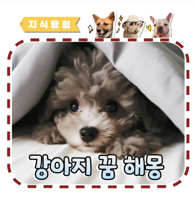  강아지 꿈 해몽 강아지 나오는 꿈 보는 꿈 똥 꿈