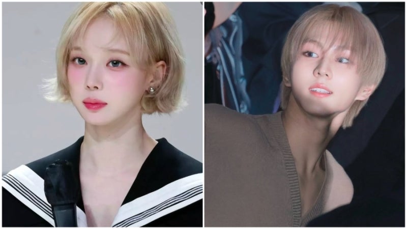 윈터 양정원 열애설/ 양측 소속사 부인,강경대응/엔하이픈 양정원은 누구?