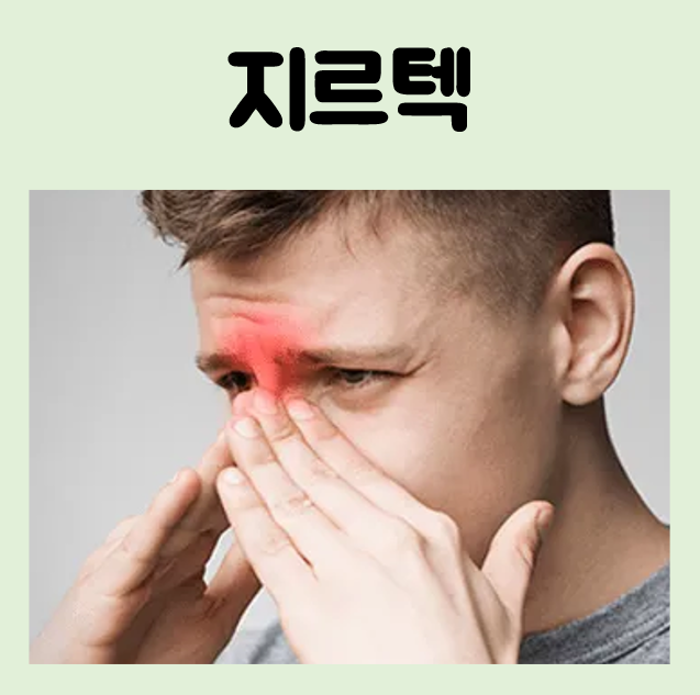 지르텍 술 부작용 편의점 약국 가격 커피