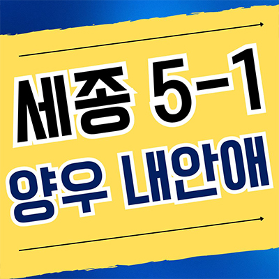  세종 양우내안애 아스펜 아파트 오피스텔 상가 5생활권 합강동 신축 분양정보