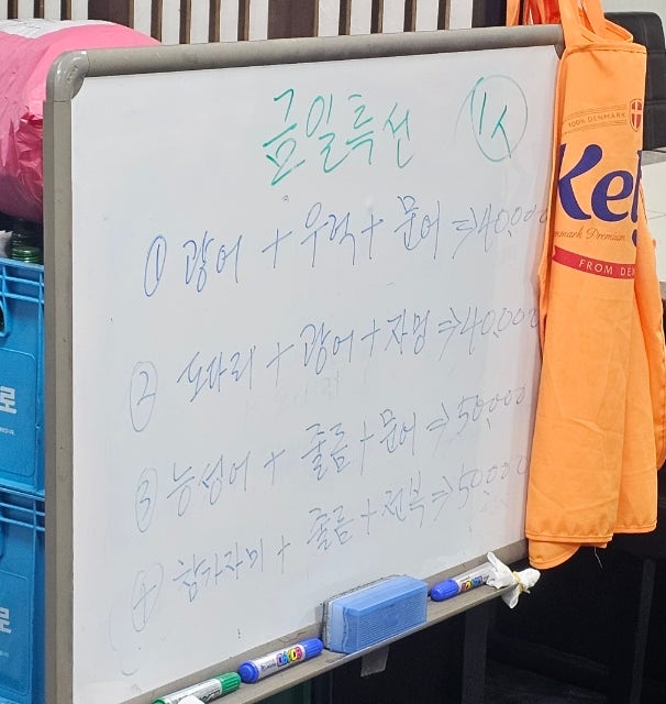 동해참가자미 사진 5
