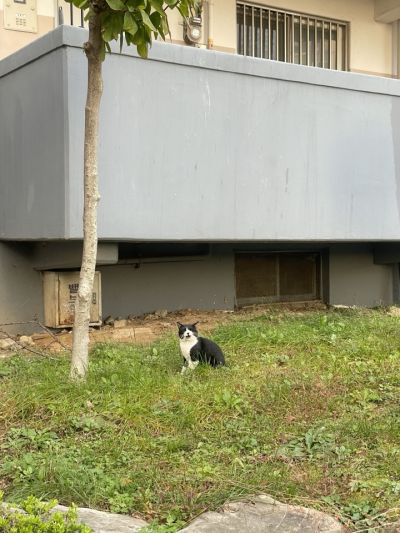 사진 2