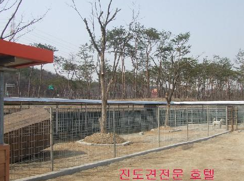 사진 2