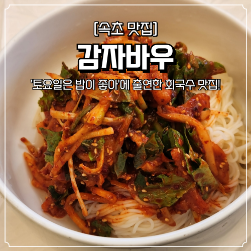  속초 맛집 추천 감자바우 회국수 점심 식사로 좋은 곳