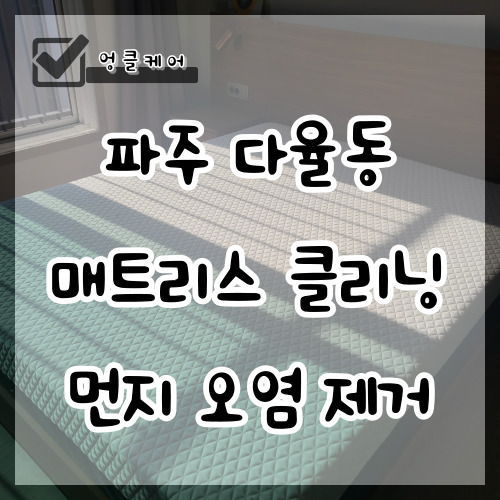  매트리스 클리닝 건식 청소 습식 청소 파주 다율동