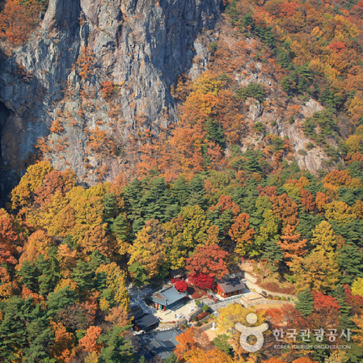  이루어질지니 1박2일 소원권 쟁탈전 in 구미 상주