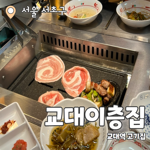  교대이층집 교대본점 : 교대이층집 본점에서 회식 내돈내산 후기