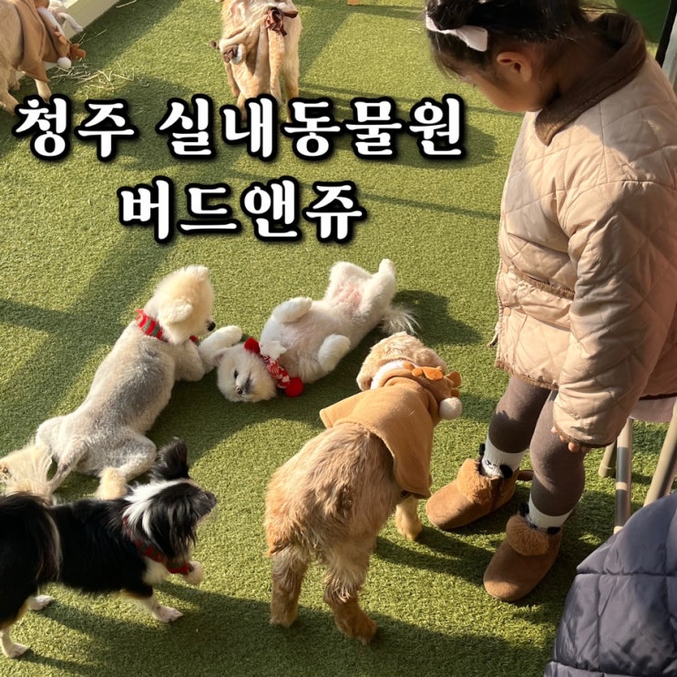  청주 실내동물원 데이트 아이랑 가볼만한 곳 버드앤쥬 예약 주차 놀이시설 솔직후기