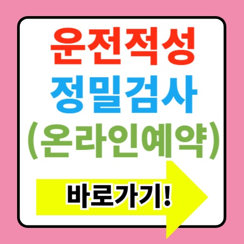  운전적성 정밀검사 온라인예약 정보(+종합판정표 수검사실증명서 재발급 )