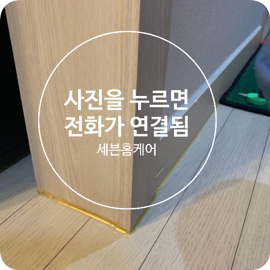 몰딩수리 강아지 이빨자국 복원업체