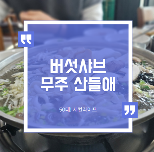  무주맛집, 눈 구경하고 뜨끈하게 송이버섯샤브
