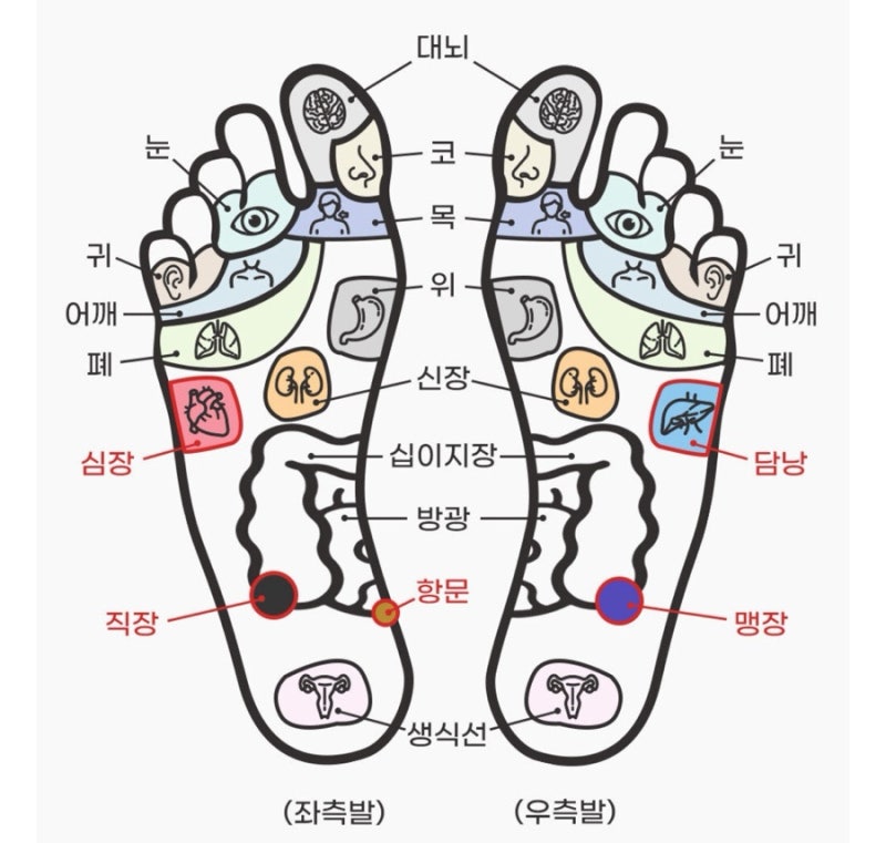 사무실 실내화 추천 칼로링 다이어트 지압 슬리퍼 : 네이버 블로그