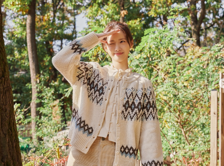  클릭 유발! 윤아 vs 박보영 노르딕 니트 가디건, 예쁜건 찜