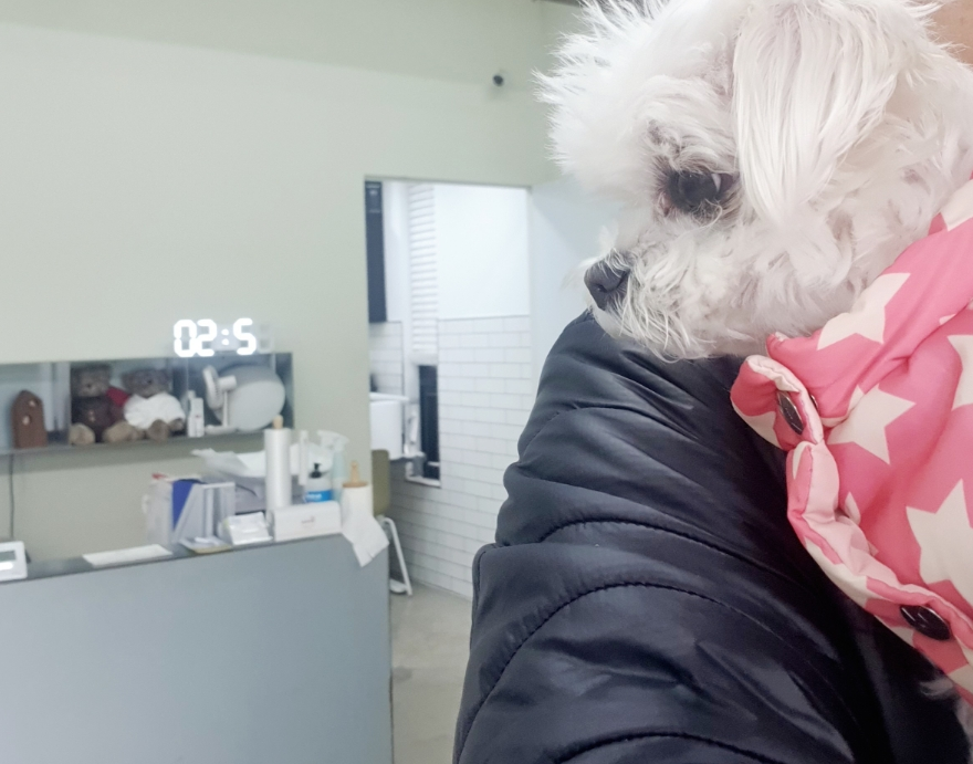 디디동물병원 사진 1