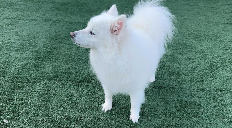 사진 4