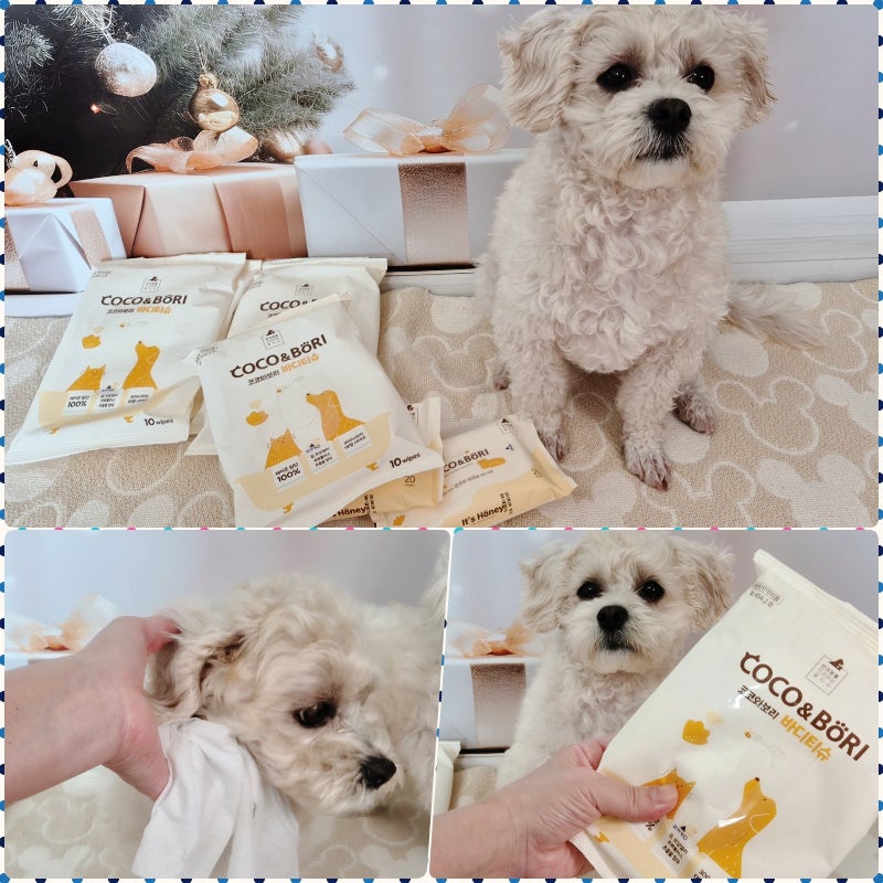강아지물티슈추천 코코와보리 강아지바디티슈 순한물티슈