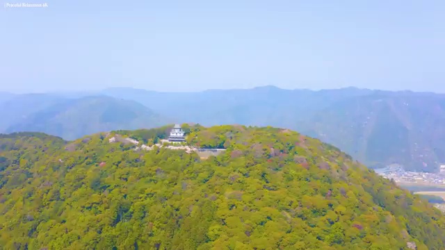  바리스타 2급 필기 독학 , 바리스타 자격증 취득했던 후기 전격분석