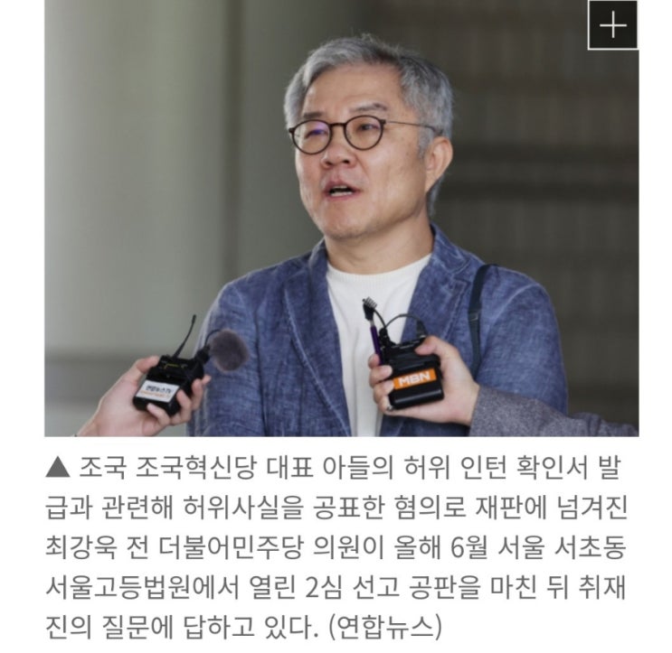 “조국 아들 인턴” 발언 <b>최강욱</b> 전 의원…<b>벌금 80만원 확정</b>... 
