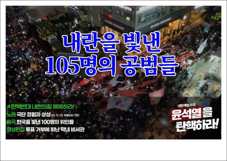 <b>내란</b> 탄핵 반대 저격송 '<b>내란</b>을 빛낸 105명의 <b>공범</b>들'