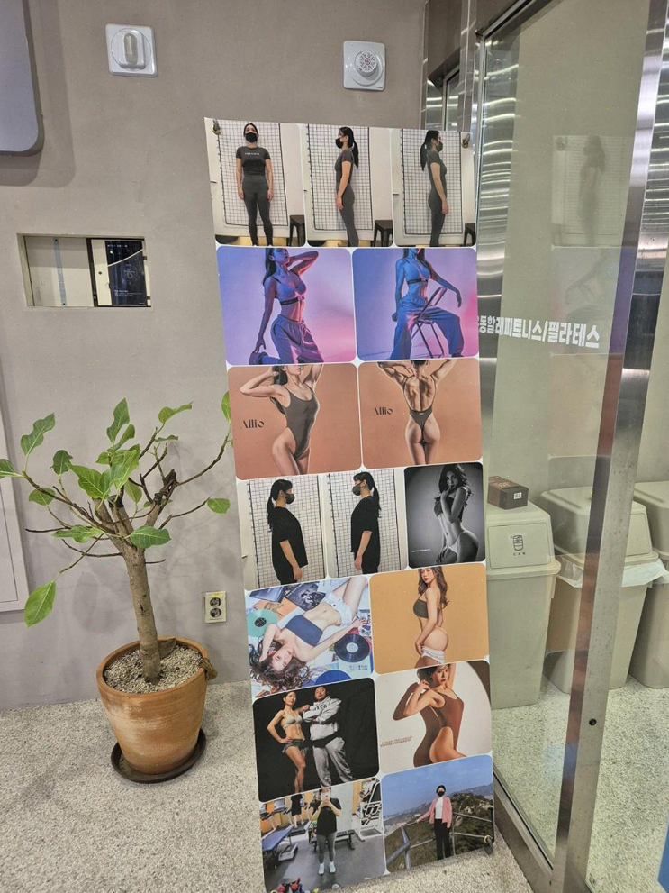  신정동 헬스장, 운동할래 피트니스에서 최고의 경험을 했어요!
