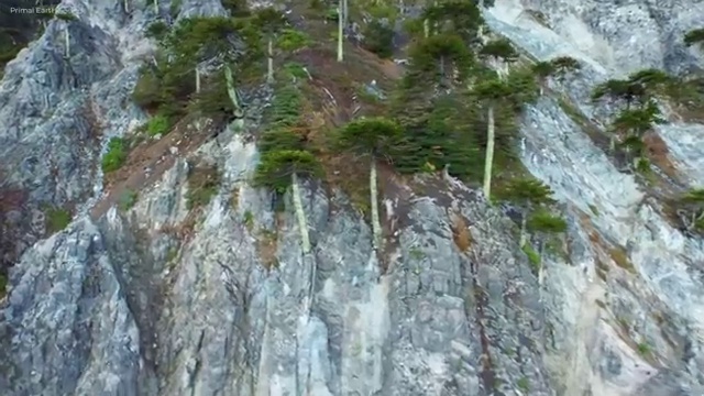  독학 자격증 추천 , 부동산권리분석사 중년 직장인도 집에서 온라인으로 빠르게 준비했던 팁