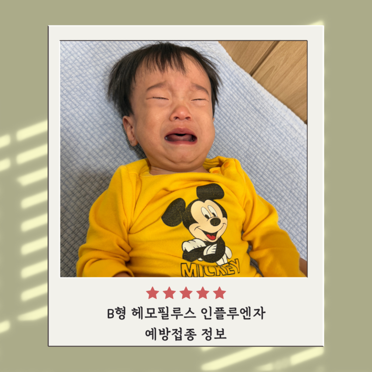 B형 헤모필루스 인플루엔자 예방접종 미숙아 예방접종 B형 헤모필루스 인플루엔자 예방접종 미숙아 예방접종