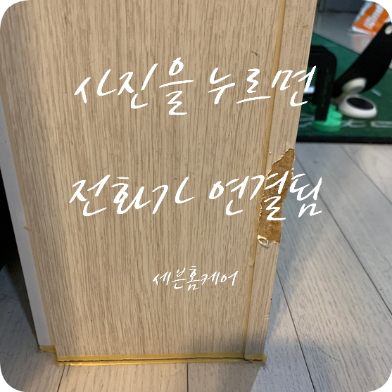 몰딩수리 강아지 이빨자국 복원업체